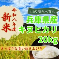 新米★令和8年度兵庫県産キヌヒカリ 農家直送 さっぱりツヤツヤ 20kgのサムネイル