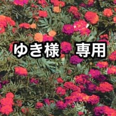ゆき様専用ページ☆めがねモチーフリング 眼鏡型リング 11号のサムネイル