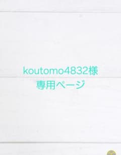 koutomo4832様 御相談用 ワイヤークラフト - メルカリ