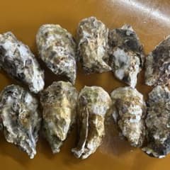 牡蠣殻　10個 洗浄済のサムネイル