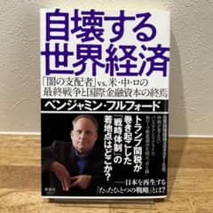 自壊する世界経済のサムネイル