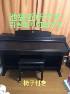 m22564315537_1.jpg?1744300222