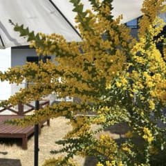 m22574367129_1.jpg?1744150563