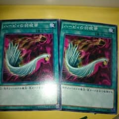 ハーピィの羽箒 ノーマルのサムネイル