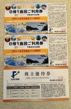 箱根小涌園ユネッサン下田海中水族館 日帰り施設ご利用券2枚藤田観光株主優待券1枚のサムネイル