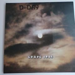 D-Day Grape Iris LP 　ポスター型歌詞カード付きのサムネイル