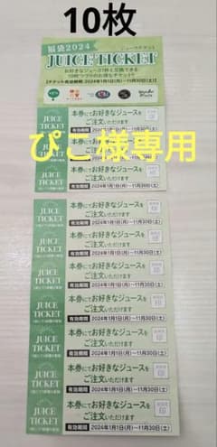 【☆値下げ☆】果汁工房果琳 2024 10枚 ジュースチケット Karinのサムネイル