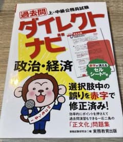 ダイレクトナビ 政治・経済のサムネイル