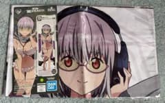 SSSS.GRIDMAN 그리드맨 신조 아카네 등신대 비주얼 크로스