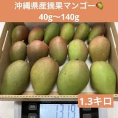 沖縄県産摘果マンゴーグリーンマンゴー青マンゴー／20 - メルカリ