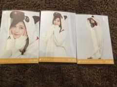 乃木坂46 生写真 干支 戌 白石麻衣 コンプのサムネイル