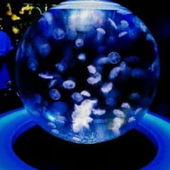 まつつ様専用のサムネイル