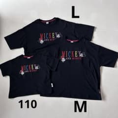 미키 미니 LM 110 부모와 자식 갖추어진 링크 LITTC LINK@