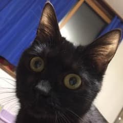 FABOLOS様 返金専用のサムネイル