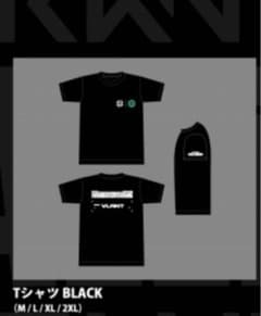 vct 会場限定tシャツのサムネイル