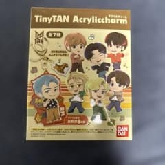 BTS TinyTAN 아크릴 매력 전 7종 bt21 8개 세트