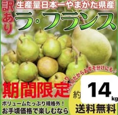 通常価格!! 濃厚ラフランス!!!高級フルーツ店お墨付限定品取引実績No.1