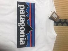 PatagoniaロンTのサムネイル