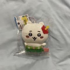 m22635703232_1.jpg?1732564568