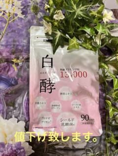 ナチュラルガーデン　発酵プラセンタ　白酵　粒13,000のサムネイル