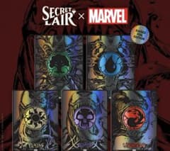 Secret Lair Marvel Spider-man 基本土地10枚セット - メルカリ