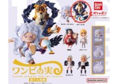 ワンピース ワンピの実　第十九海戦　ロブルッチのサムネイル