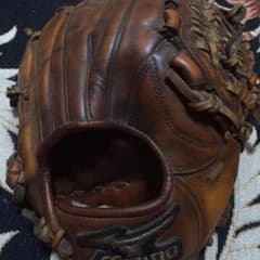 ミズノプログローブのサムネイル