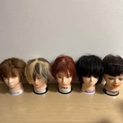 早い者勝ち 美容師練習用 カットウィッグ まとめ売り 5体売りセット