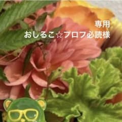 専用ページ おしるこ☆プロフ必読様 - メルカリ