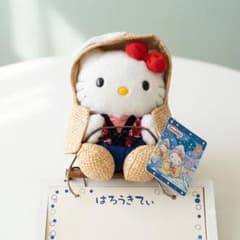 【激レア当時物】2002年 サンリオ ハローキティ ホワイトボード付きぬいぐるみ 激レア当時物】2002年 サンリオ ハローキティ ホワイトボード付き