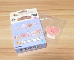 BTS BT21 이치 반 쿠지 고무 매력 TATA