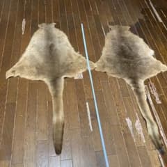 カンガルー　本革　オーストラリアにて購入のサムネイル