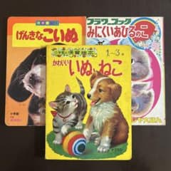 小学館の保育絵本 かわいいいぬとねこ 波多野勤子 監修 - メルカリ