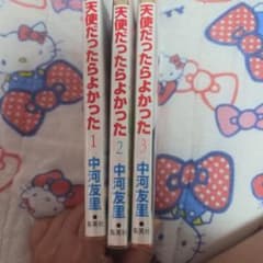 天使だったらよかった 全3巻セット 中河友里のサムネイル