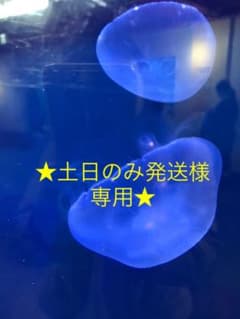★土日のみ発送様専用★ソワーニュ★エッセンスアップローションMのサムネイル