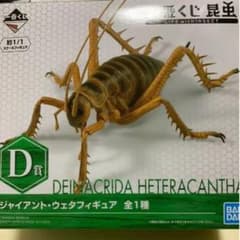昆虫 一番くじ D賞 ジャイアント・ウェタフィギアのサムネイル