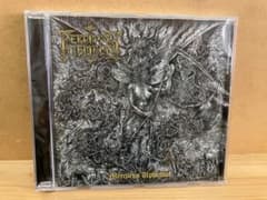 Perdition Temple - Merciless Upheaval CDのサムネイル