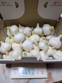 自然微生物栽培　にんにく　Sサイズ　1ｋｇのサムネイル