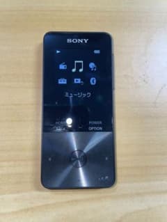 SONY ウォークマン　NW-S313 4GBのサムネイル
