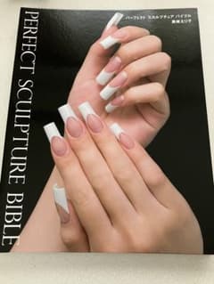 PERFECT SCULPTURE BIBLE ネイル技術書のサムネイル