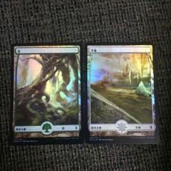 foil 森 平地のサムネイル