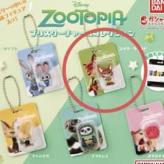 주트 피어 블리스터 매력 컬렉션 닉