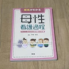 根拠がわかる母性看護過程 事例で学ぶウェルネス志向型ケア計画のサムネイル