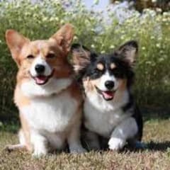 絢乃様専用のサムネイル