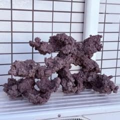人工ライブロックのサムネイル