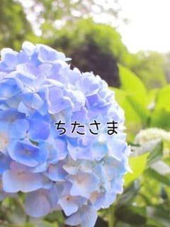 ちたさま♡専用のサムネイル