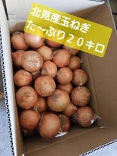 玉ねぎ ２０キロのサムネイル