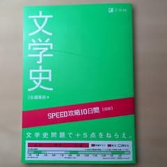 文学史 SPEED攻略10日間のサムネイル
