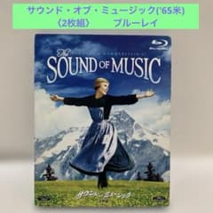 けんすけ様 リクエスト 2点 まとめ商品のサムネイル