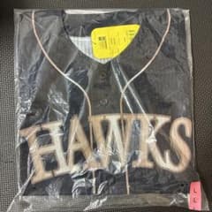 ソフトバンクホークス ダブルアニバーサリー レプリカユニフォーム 無地 Lサイズ ソフトバンクホークス ダブルアニバーサリー レプリカユニフォーム